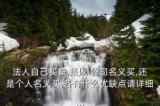 法人自己買車,是以 公司名義買,還是個(gè)人名義買,各有什么優(yōu)缺點(diǎn)請?jiān)敿?xì)...