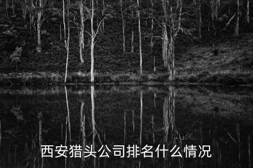 豐春金融信息服務有限公司,金融發(fā)展服務有限公司