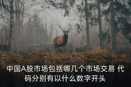中國(guó)A股市場(chǎng)包括哪幾個(gè)市場(chǎng)交易 代碼分別有以什么數(shù)字開(kāi)頭