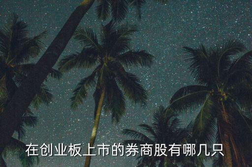 在創(chuàng)業(yè)板上市的券商股有哪幾只