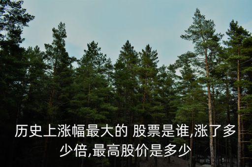 中國(guó)最大三只股票,中國(guó)下跌最大的股票