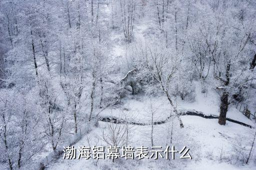 中國(guó)建筑企業(yè)在海外建筑市場(chǎng)