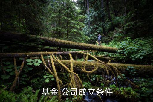  基金 公司成立條件