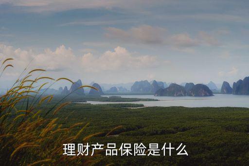  理財產品保險是什么
