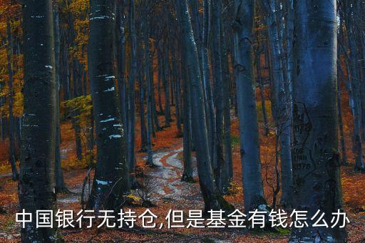 中國(guó)銀行無(wú)持倉(cāng),但是基金有錢怎么辦