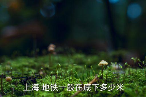  上海 地鐵一般在底下多少米