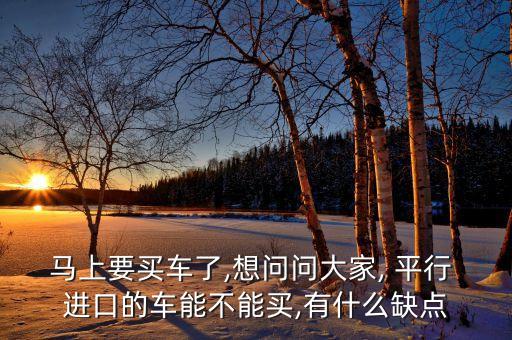 上海龐大平行進(jìn)口車,上海平行進(jìn)口車官方旗艦店
