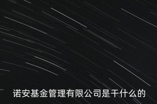  諾安基金管理有限公司是干什么的