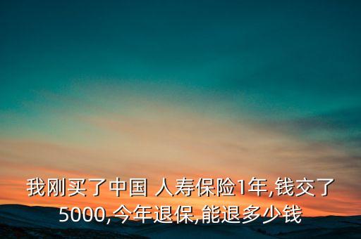 我剛買了中國 人壽保險(xiǎn)1年,錢交了5000,今年退保,能退多少錢