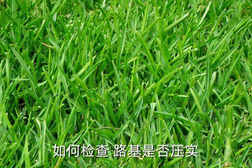 上海塘灣路基材料廠