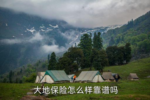 中國大地保險公司啟動問責