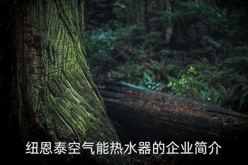 新加坡能源有限公司,華能新加坡大士能源有限公司
