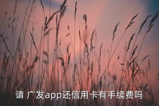 請(qǐng) 廣發(fā)app還信用卡有手續(xù)費(fèi)嗎