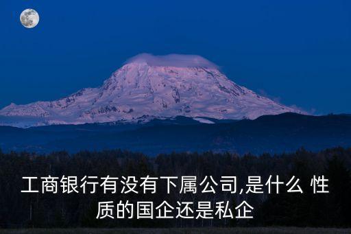 工商銀行有沒有下屬公司,是什么 性質的國企還是私企