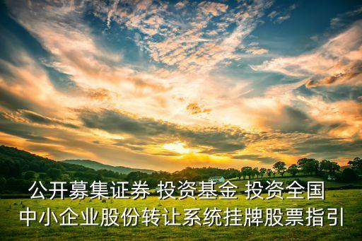 公開募集證券 投資基金 投資全國(guó) 中小企業(yè)股份轉(zhuǎn)讓系統(tǒng)掛牌股票指引