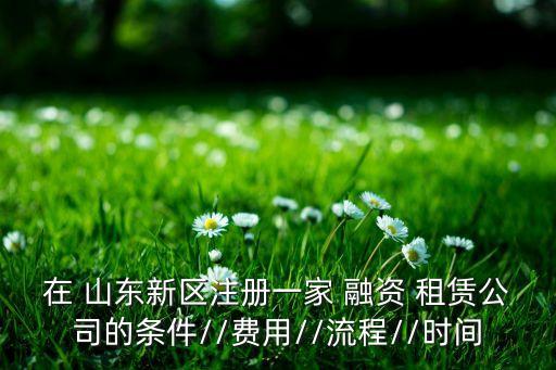 在 山東新區(qū)注冊一家 融資 租賃公司的條件//費(fèi)用//流程//時間