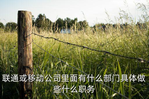 中國(guó)聯(lián)通信息化部
