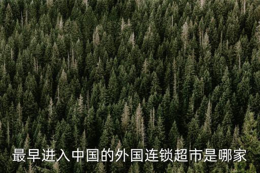 中國第一家麥德龍,中國有多少家麥德龍