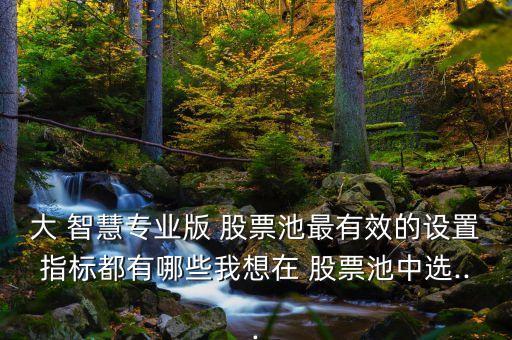 大 智慧專業(yè)版 股票池最有效的設置指標都有哪些我想在 股票池中選...