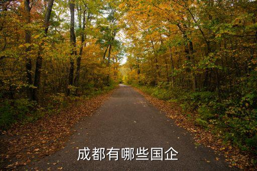 成都有哪些國企