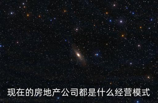 現(xiàn)在的房地產(chǎn)公司都是什么經(jīng)營模式