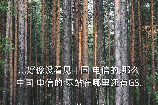 ...好像沒(méi)看見(jiàn)中國(guó) 電信的,那么中國(guó) 電信的 基站在哪里還有GS...