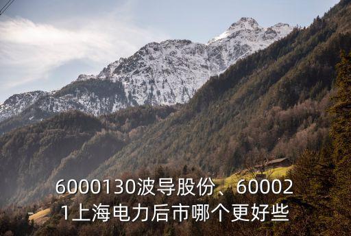 6000130波導(dǎo)股份、600021上海電力后市哪個更好些
