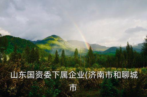  山東國資委下屬企業(yè)(濟(jì)南市和聊城市