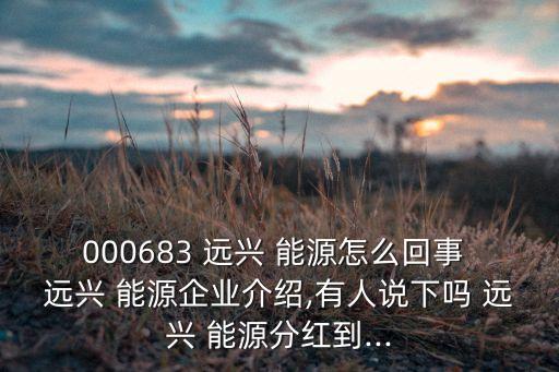遠(yuǎn)興能源集團
