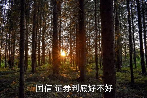  國信 證券到底好不好