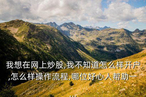 我想在網(wǎng)上炒股,我不知道怎么樣開(kāi)戶(hù),怎么樣操作流程,哪位好心人幫助一...