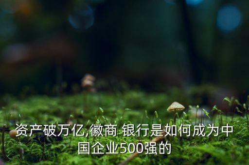 廈門(mén)銀行2013年報(bào),廈門(mén)農(nóng)商銀行年報(bào)
