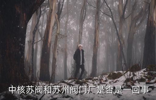  中核蘇閥和蘇州閥門(mén)廠是否是一回事