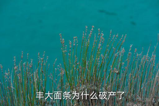 豐大面條為什么破產了