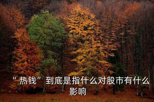 熱錢(qián)大量流出中國(guó)的影響