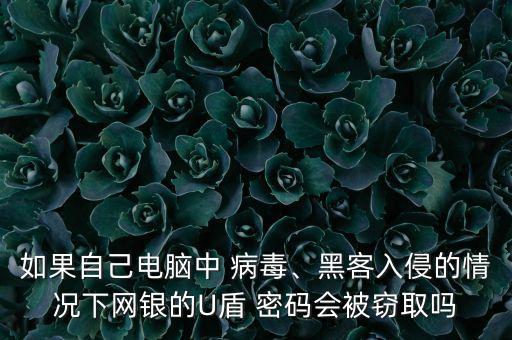 如果自己電腦中 病毒、黑客入侵的情況下網(wǎng)銀的U盾 密碼會被竊取嗎