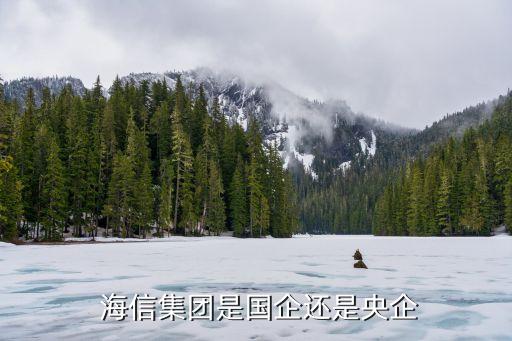 海信集團2015年收入