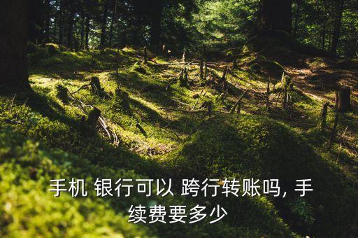  手機(jī) 銀行可以 跨行轉(zhuǎn)賬嗎, 手續(xù)費要多少
