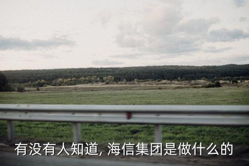 有沒有人知道, 海信集團是做什么的