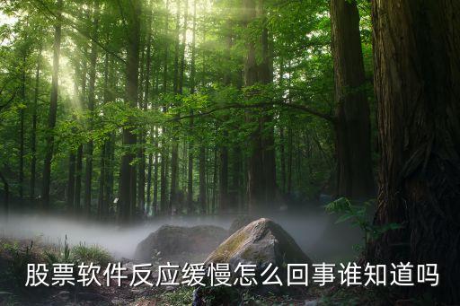  股票軟件反應緩慢怎么回事誰知道嗎