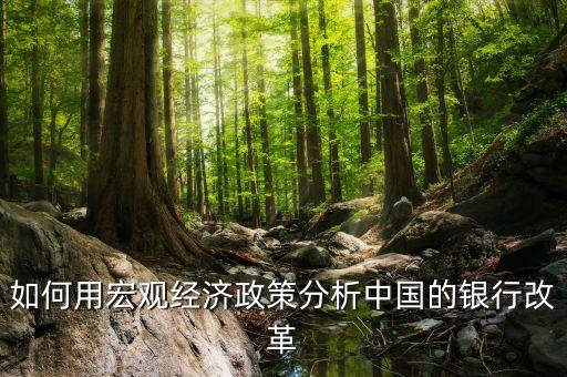 如何用宏觀(guān)經(jīng)濟(jì)政策分析中國(guó)的銀行改革