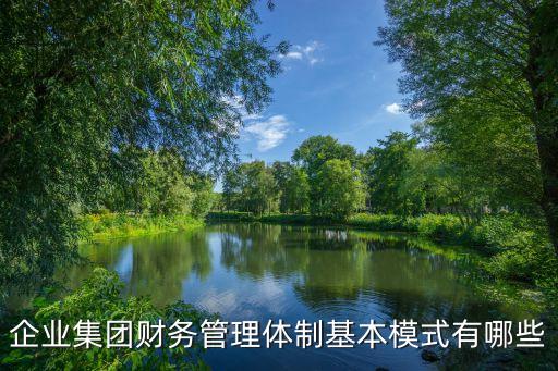 企業(yè)集團(tuán)財(cái)務(wù)管理體制基本模式有哪些