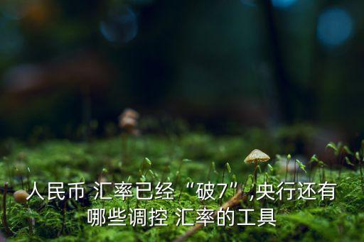 中國(guó)匯率管制,匯率管制的利弊
