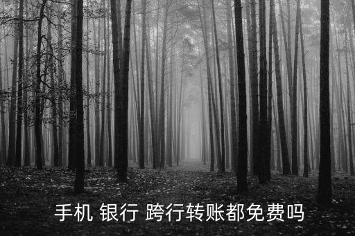 手機(jī)銀行跨行手續(xù)費(fèi),自己如何辦理手機(jī)銀行