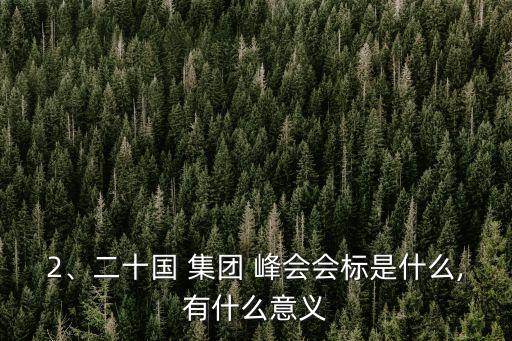 2016年20國(guó)集團(tuán)峰會(huì),輕松集團(tuán)在2016年成立