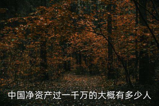 中國(guó)凈資產(chǎn)過(guò)一千萬(wàn)的大概有多少人