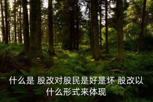 什么是 股改對股民是好是壞 股改以什么形式來體現