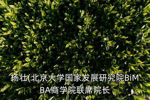 北大中國(guó)經(jīng)濟(jì)中心,中國(guó)經(jīng)濟(jì)的中心城市