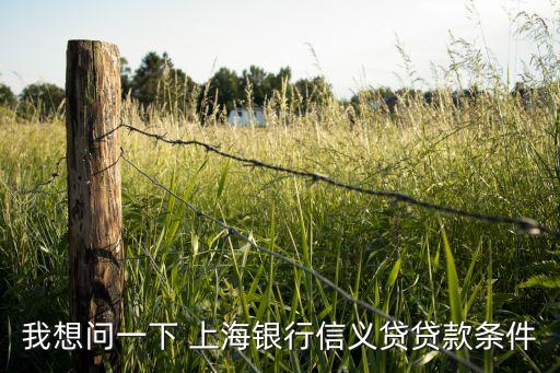 我想問(wèn)一下 上海銀行信義貸貸款條件