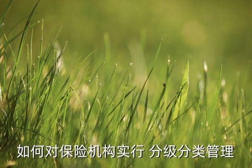 如何對保險機構實行 分級分類管理